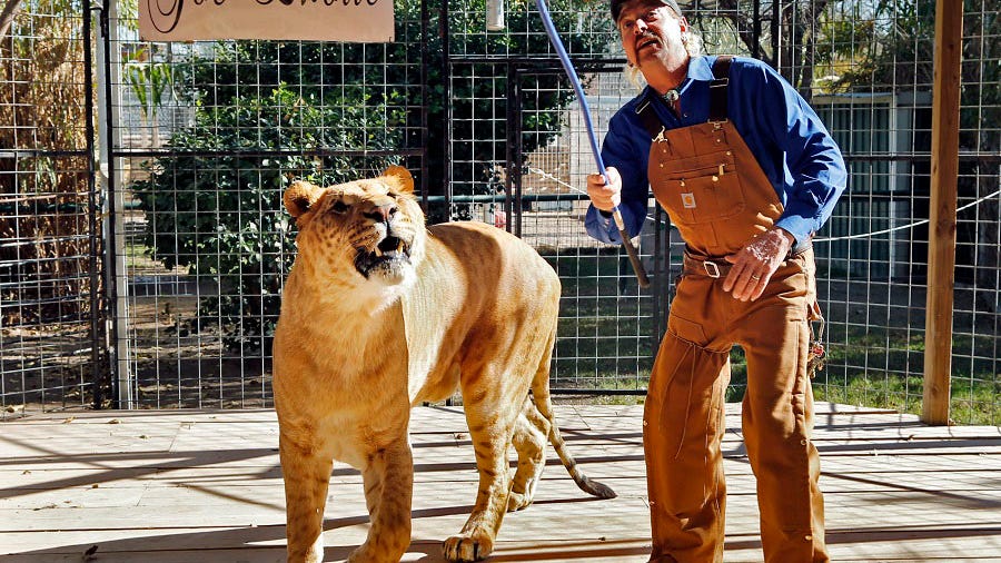 WATCH: Netflix releases trailer for ‘Tiger King 2’ with Joe Exotic and Carole Baskin