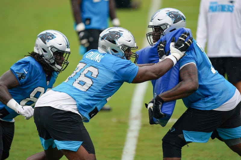 Panther OL