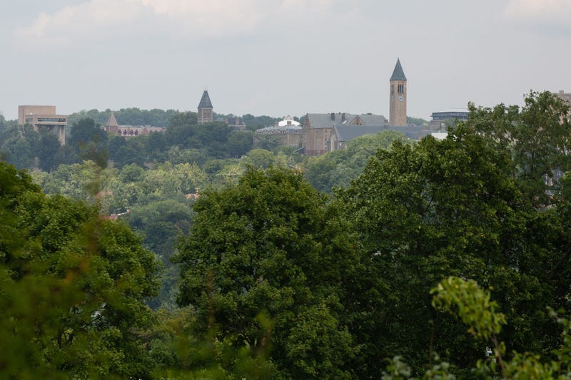 The buildings at Cornell University peek out over the treetops on Thursday, Aug. 27, 2020.