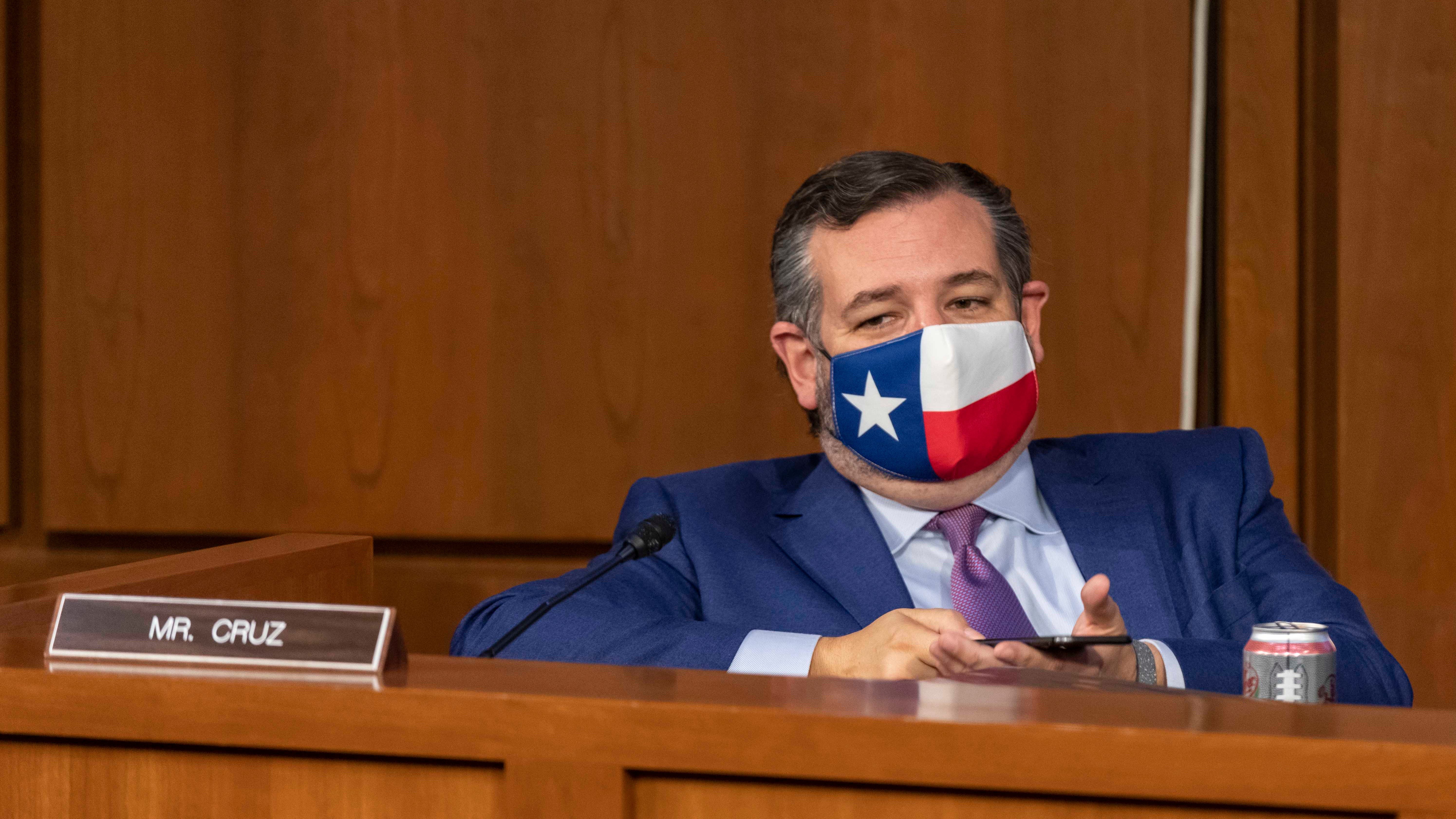 Texas Sen. Ted Cruz backtracks on 'dumb choice of words'