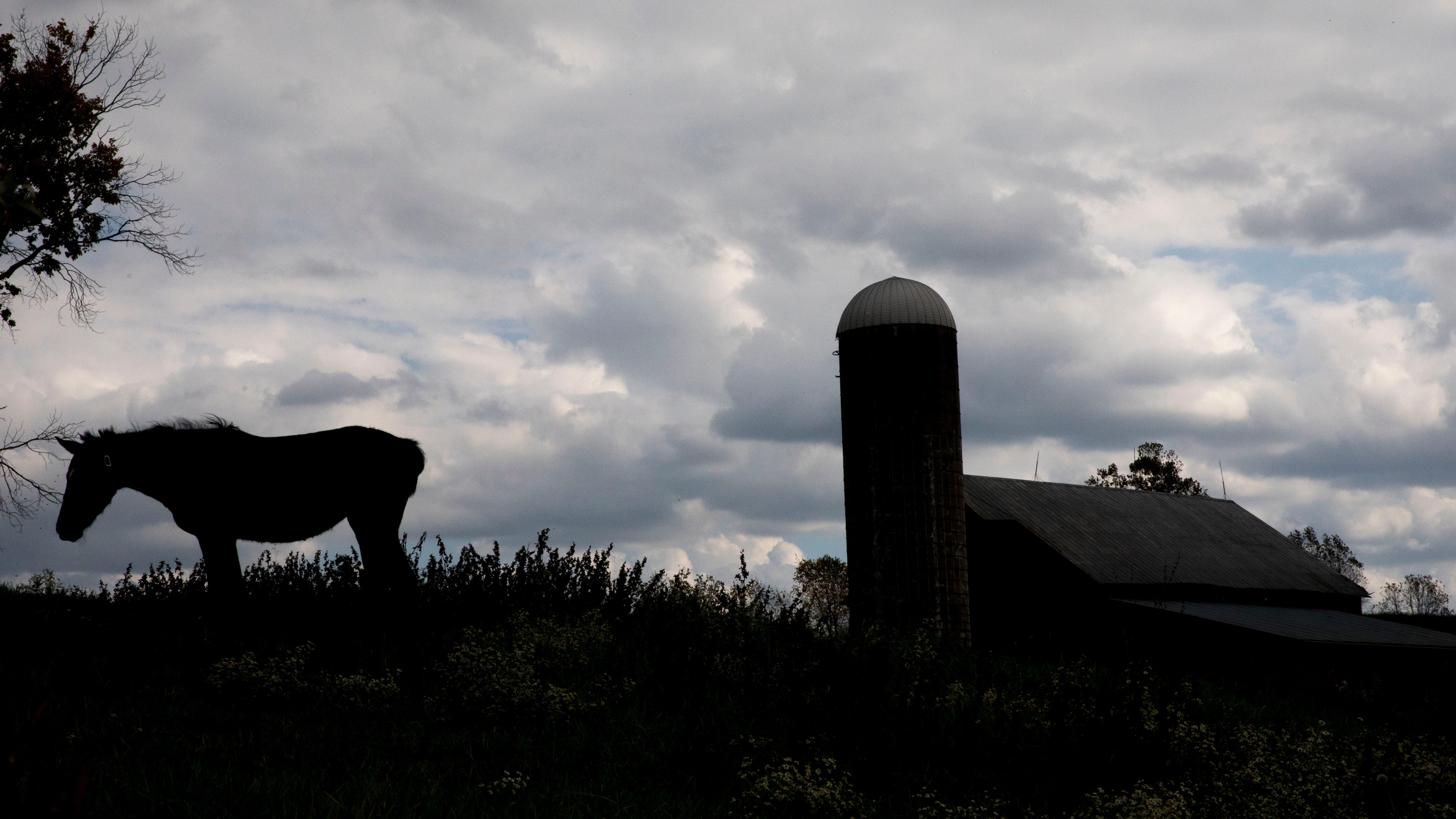 Lawsuit against Pa. church farm claims boys forced to drag chains, dig up tree stumps by hand