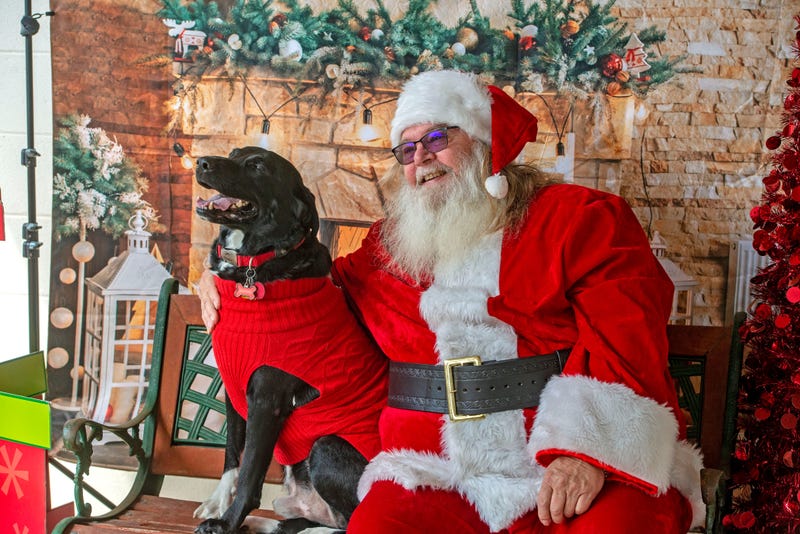 Santa and his dog