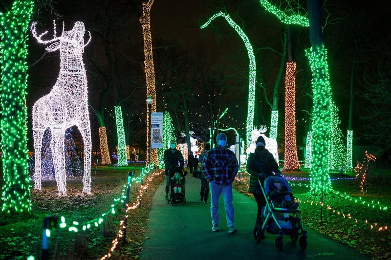 The Detroit Zoo's one-of-a-kind holiday experience officially kicks of Saturday as Wild Lights opens to the public for the tenth year in a row.