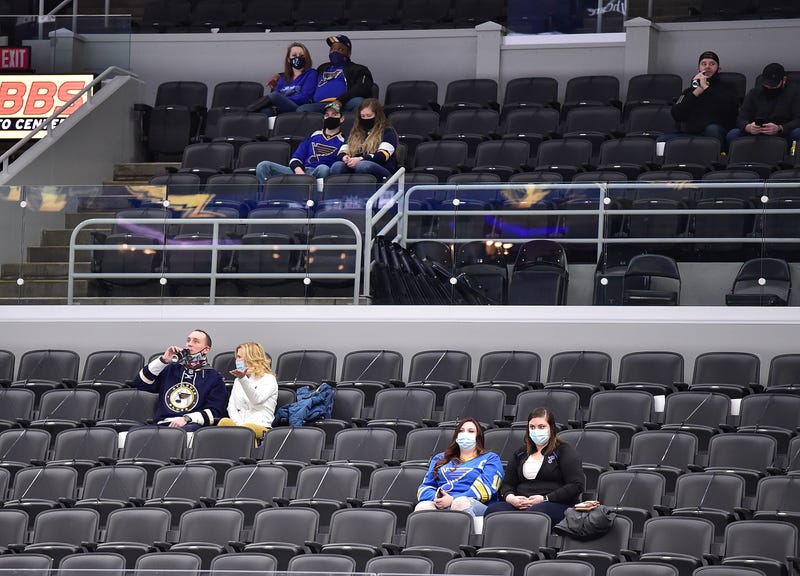 St. Louis Blues fans