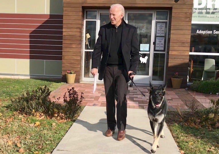 Then-President-elect Joe Biden leaves a Delaware shelter with rescue dog Major.