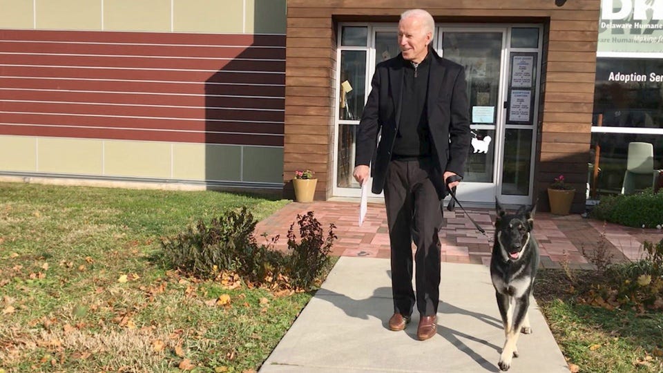 President Biden’s rescue dog repeatedly bit Secret Service agents on 8 consecutive days