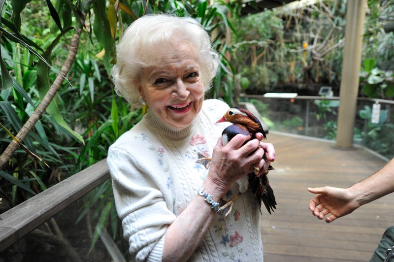 Betty White holding a male Mandarin duck at the Central Park Zoo for a video/story about her book.