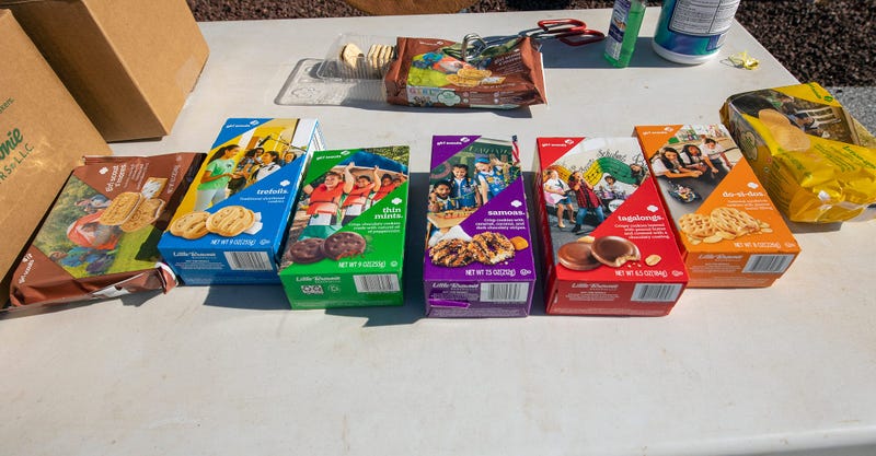 Raspberry Rally Girl Scout Cookies $100 On Ebay