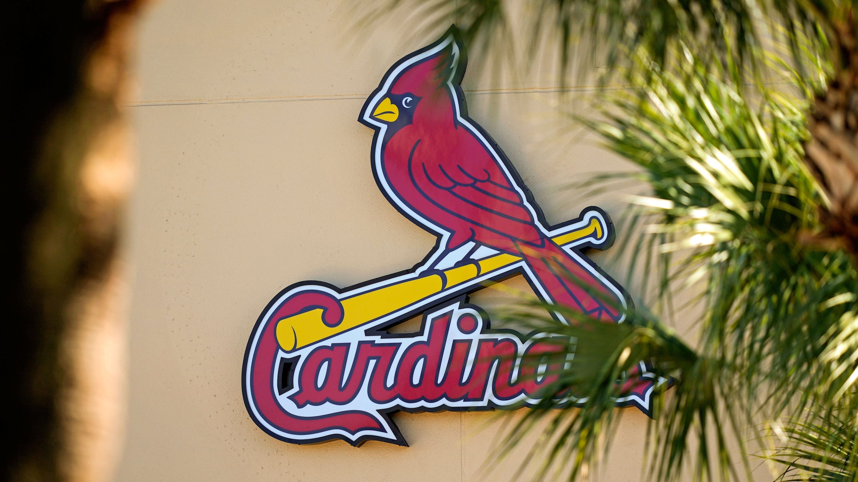 Cardinals draft college pitcher Michael McGreevy with 'phobia of walking batters'