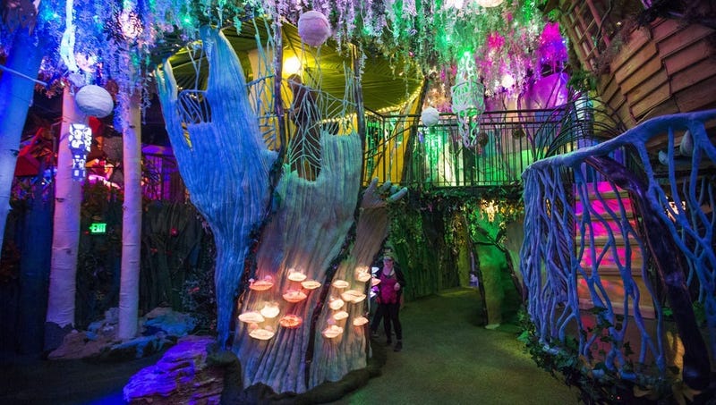 Meow Wolf, Santa Fe