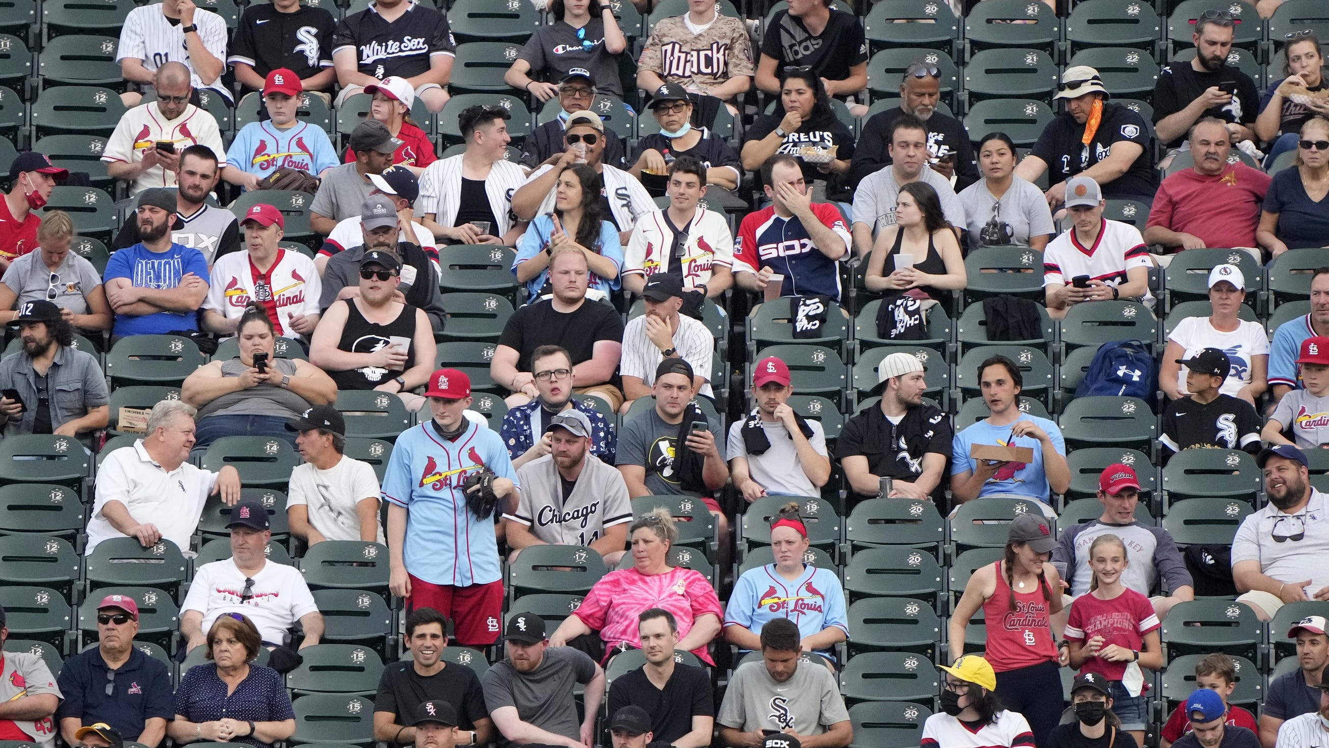 WATCH: Fans brawl in bleachers of Cardinals, White Sox game