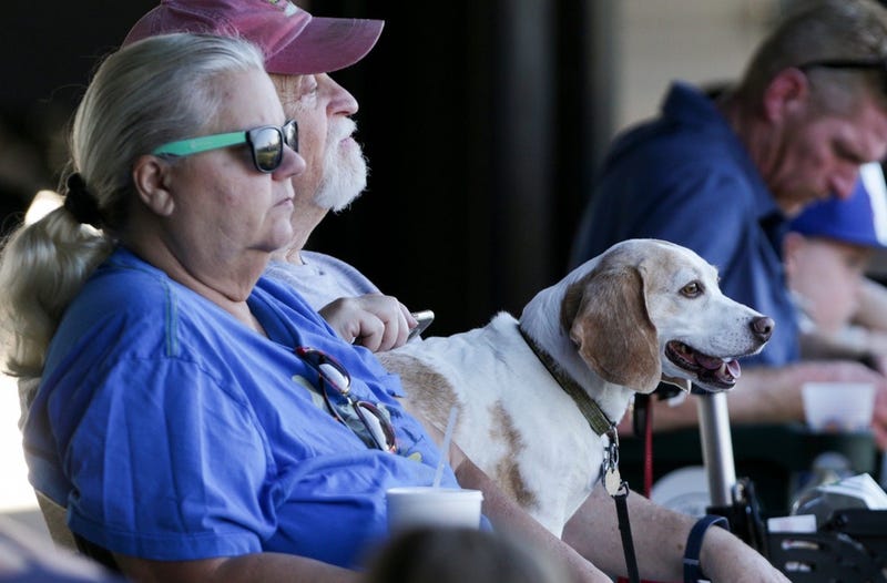 dog stadium