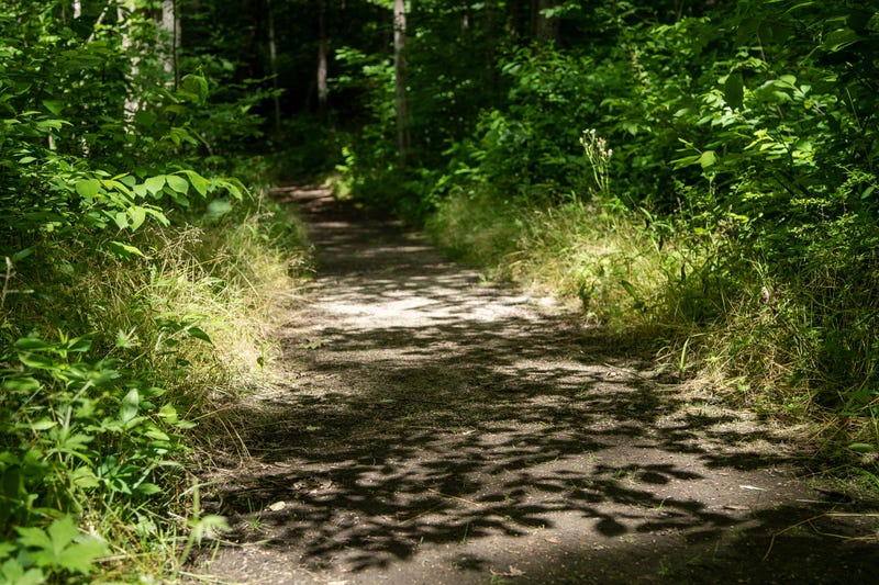 WA State Hiker Found 9 Days Later