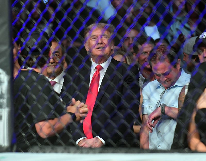 Former US President Donald Trump attends UFC 264 at T-Mobile Arena in Las Vegas on July 10, 2021.