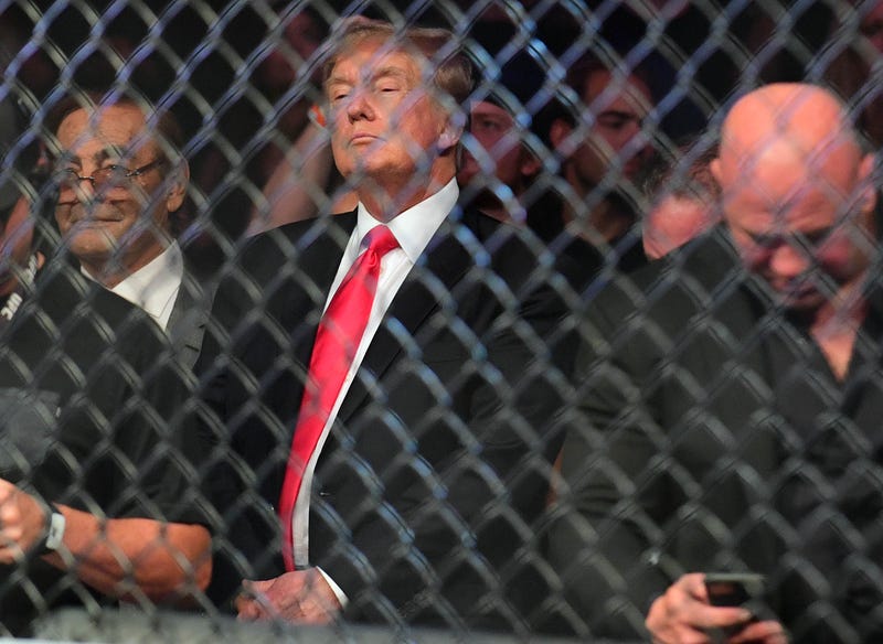 Former US President Donald Trump attends UFC 264 at T-Mobile Arena.