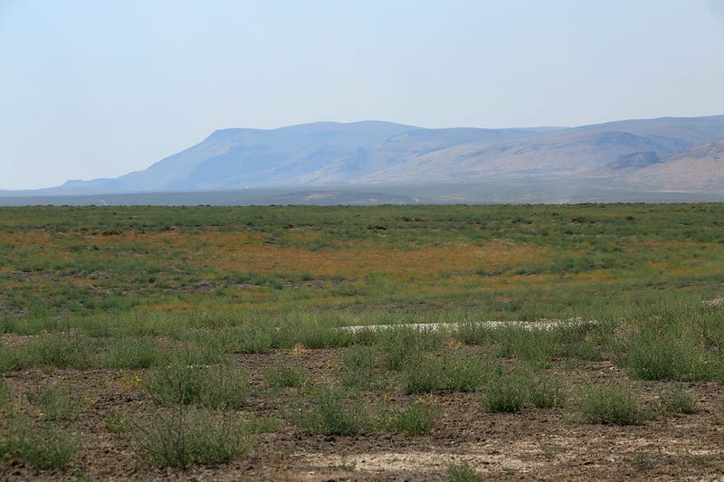 An open desert landscape is seen just below Thacker Pass in northern Nevada on July 14, 2021