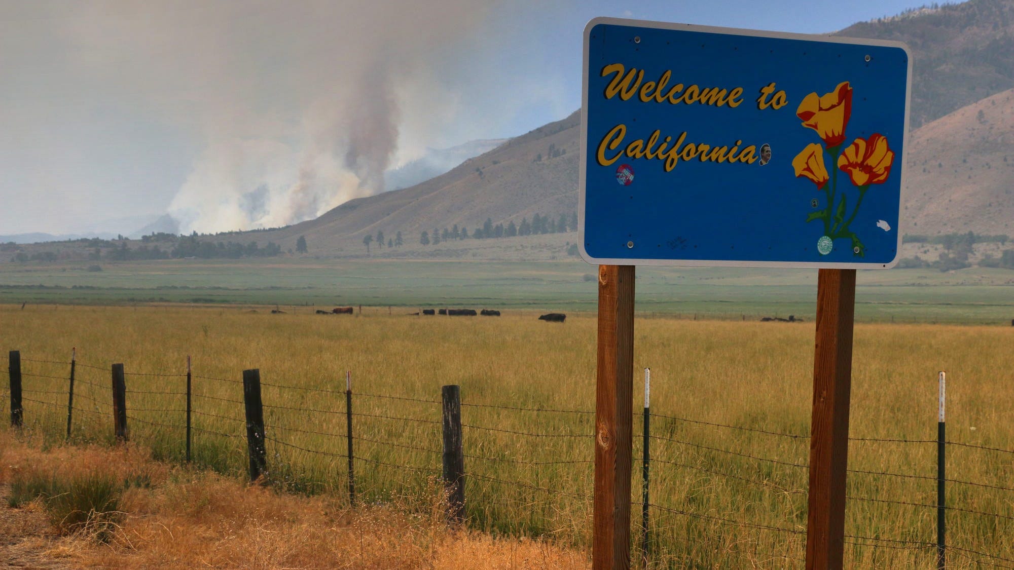 Tamarack Fire burns 50K acres, forces highway closures to California border