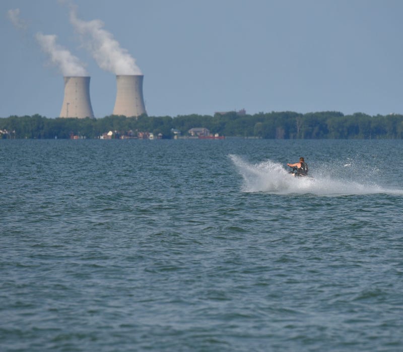 DTE's downriver nuclear power plant was automatically taken offline Friday evening after an electrical issue shutdown a main turbine.