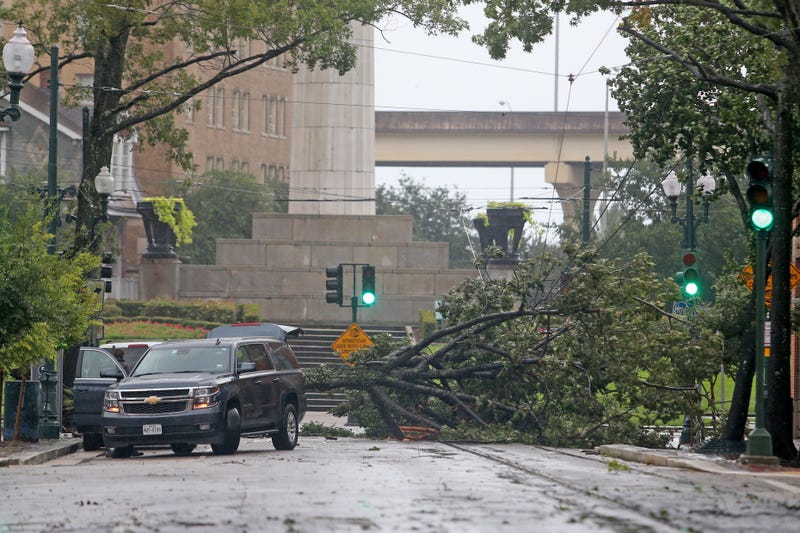 A tree toppled onto St. Charles Avenue as the effects of Hurricane Ida begin to be felt