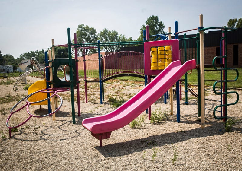 Bear & her cub take over school playground