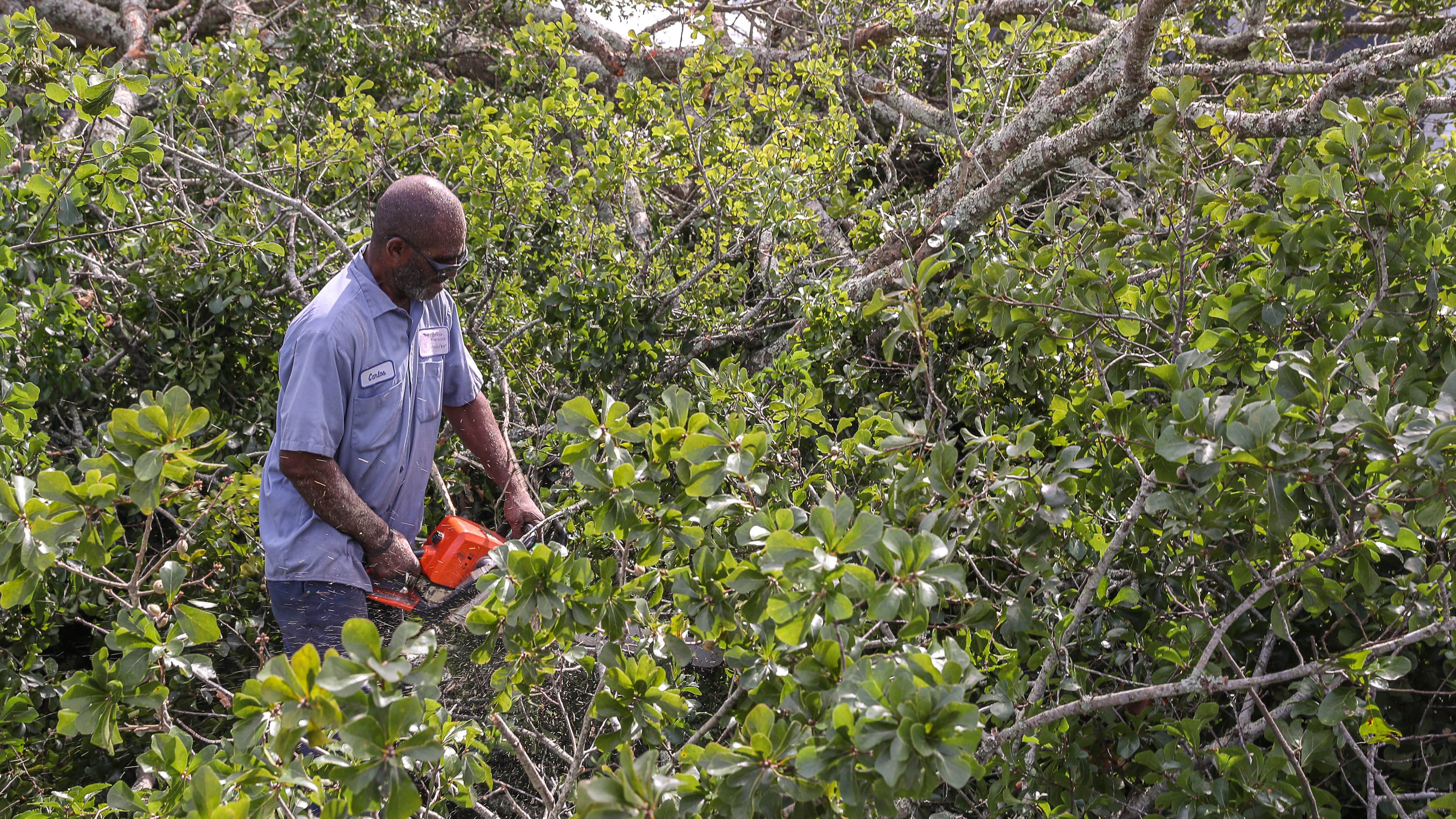 FEMA clarifies rules for chainsaw, generator reimbursement