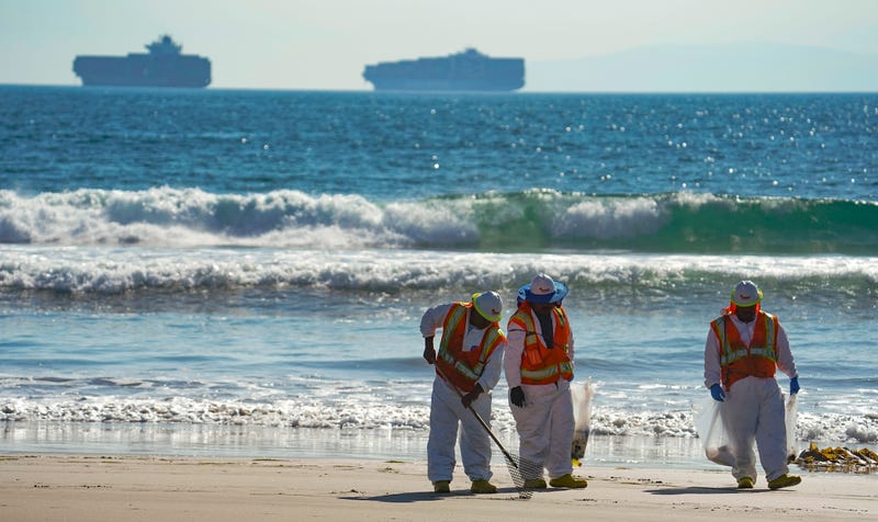 cleanup workers on beach