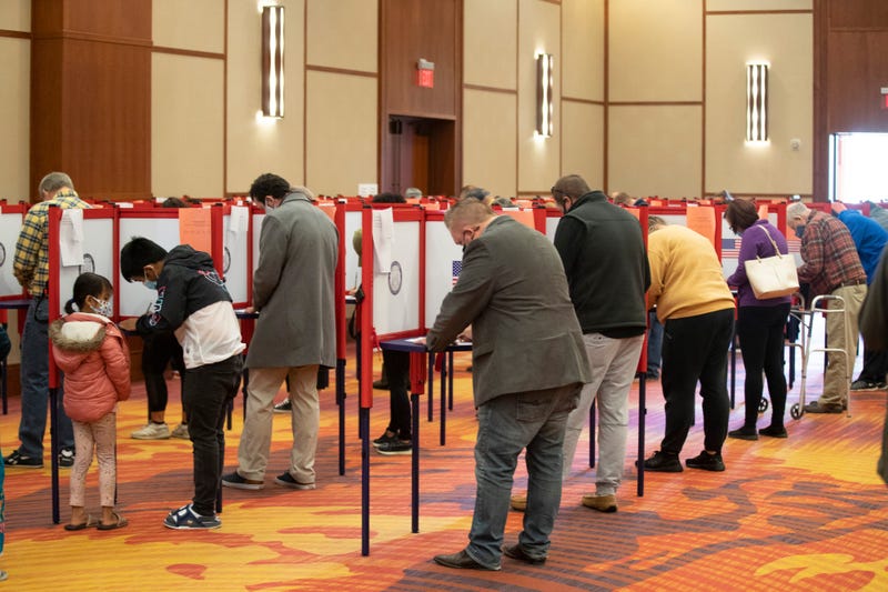 Are voter requirements in South Carolina too stringent?