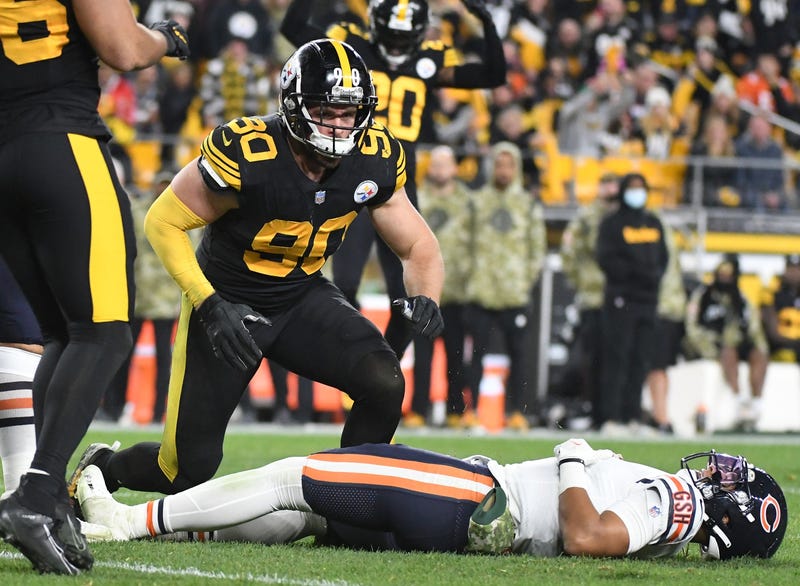 TJ Watt celebrates sack of Justin Fields