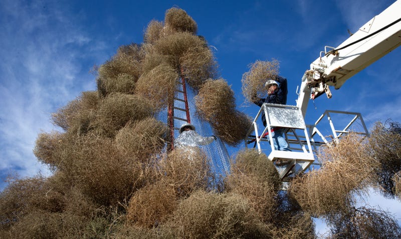 Tumbleweeds Surround Colorado Home