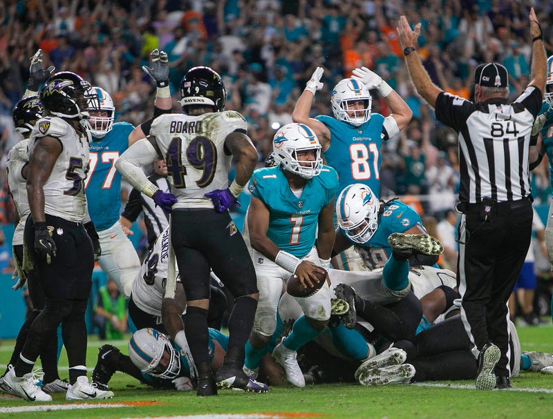 Miami Dolphins