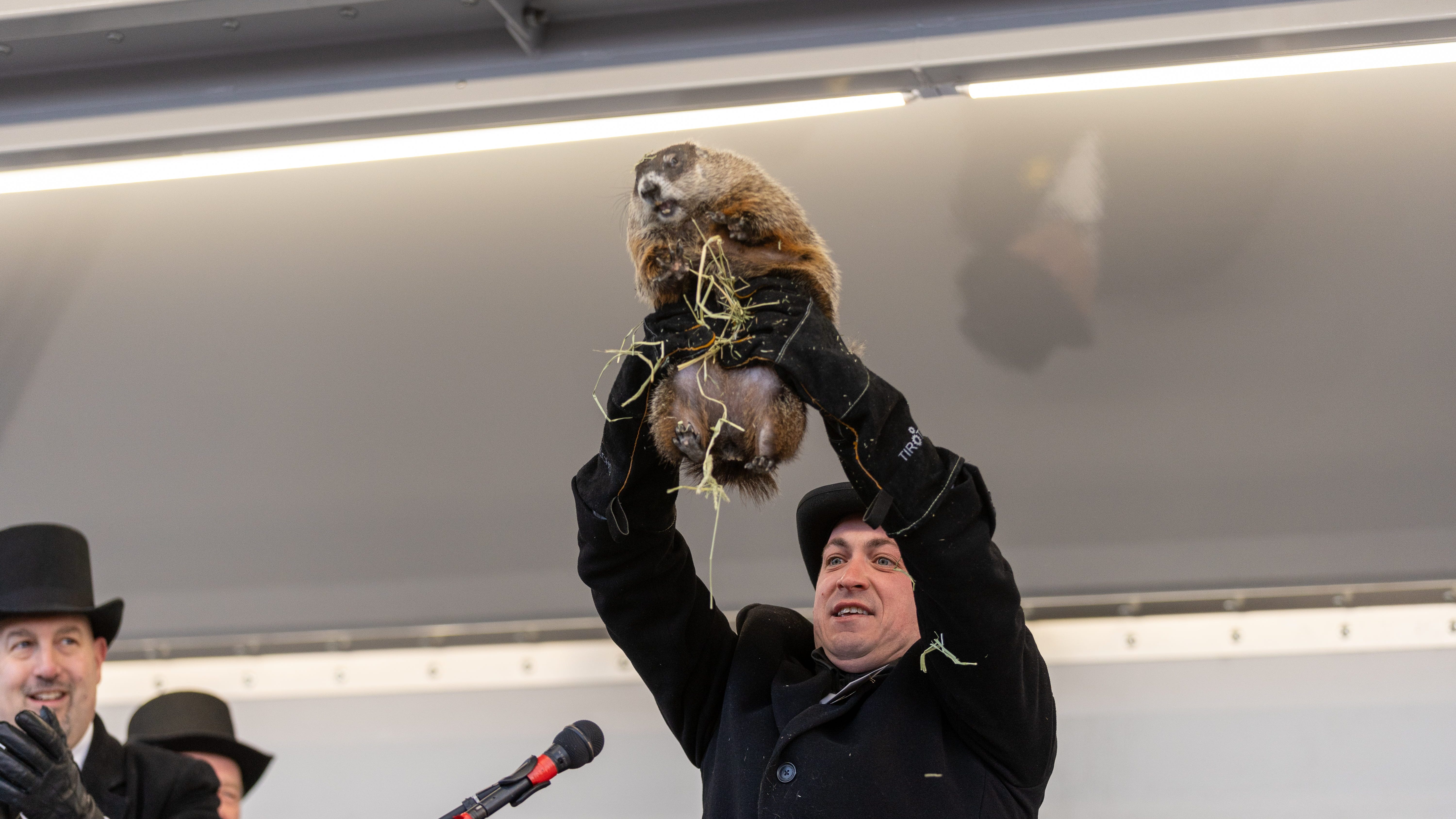 NJ's Milltown Mel dies canceling Groundhog Day festivities
