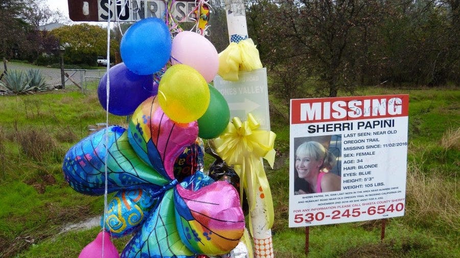 California woman apologizes for faking her own kidnapping, putting the country on alert