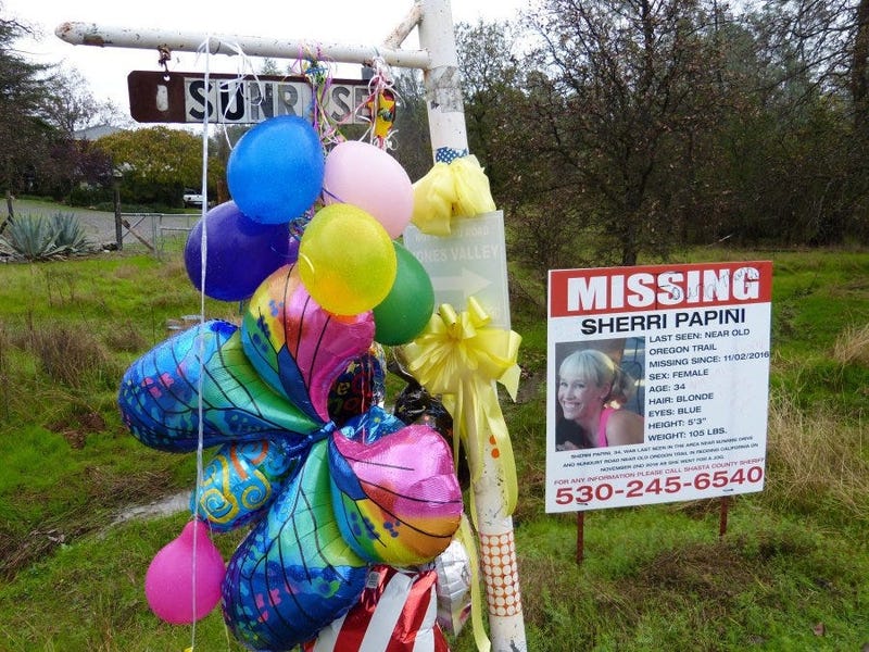 A collection of balloons are tied around Sunrise Drive in Mountain Gate near the Papini home.