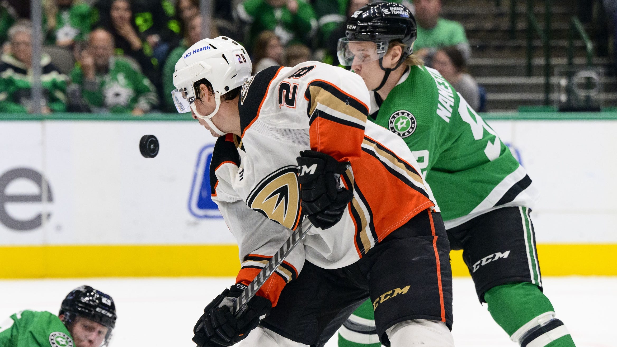 Bruins make 5 organizational depth signings