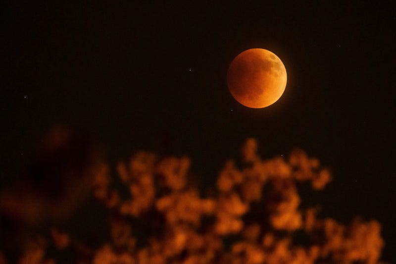 Following close on the heels of October's Hunter Moon, the final lunar eclipse of the year will cast its shadow over Michiganders the morning of Election Day, astronomers say.