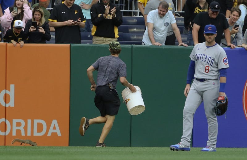 A member of the Pittsburgh Pirates ground crew chases a squirrel in the outfield as Chicago Cubs center fielder Ian Happ (8) looks on during the second inning at PNC Park on June 20, 2022, Pittsburgh, Pennsylvania.
