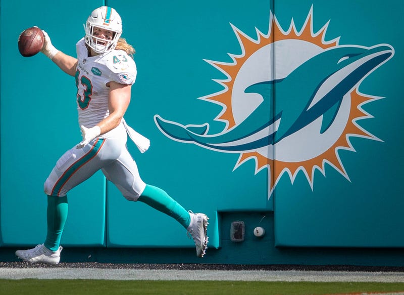 Soaring Dolphins