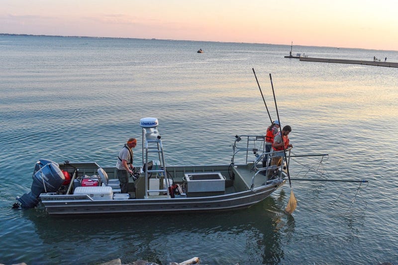 2 Accused Of Cheating During Lake Erie Fishing Tourney