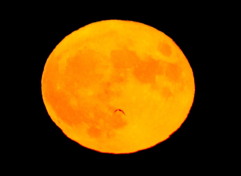 A full supermoon, called the Buck Moon, rises over Lake Michigan in Milwaukee on Wednesday, July 13, 2022. Full Supermoon 2384