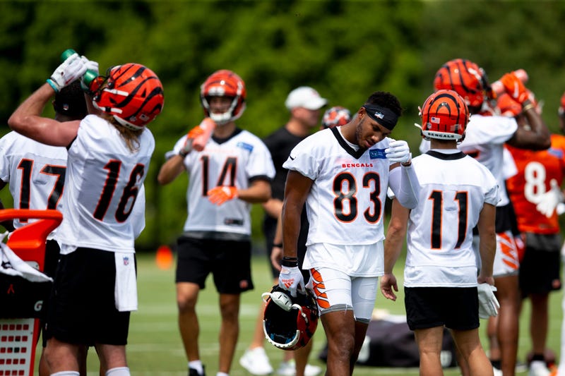 Cincinnati Bengals 