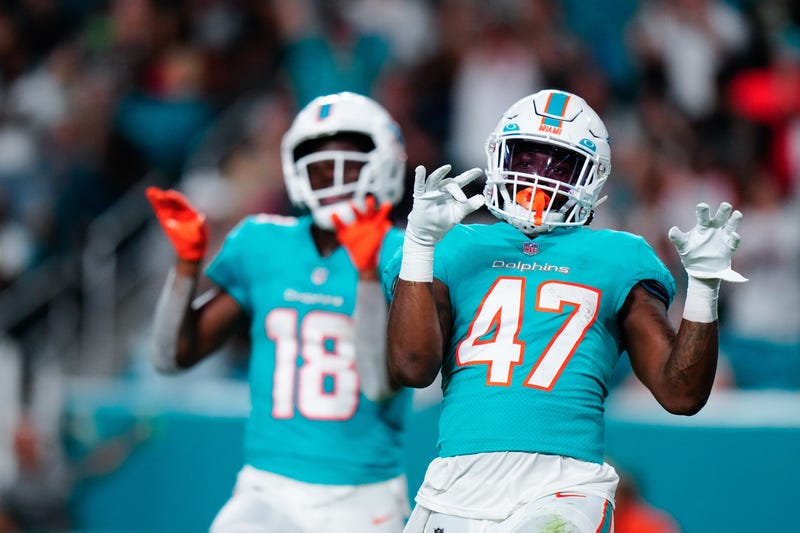 Dolphins get ready