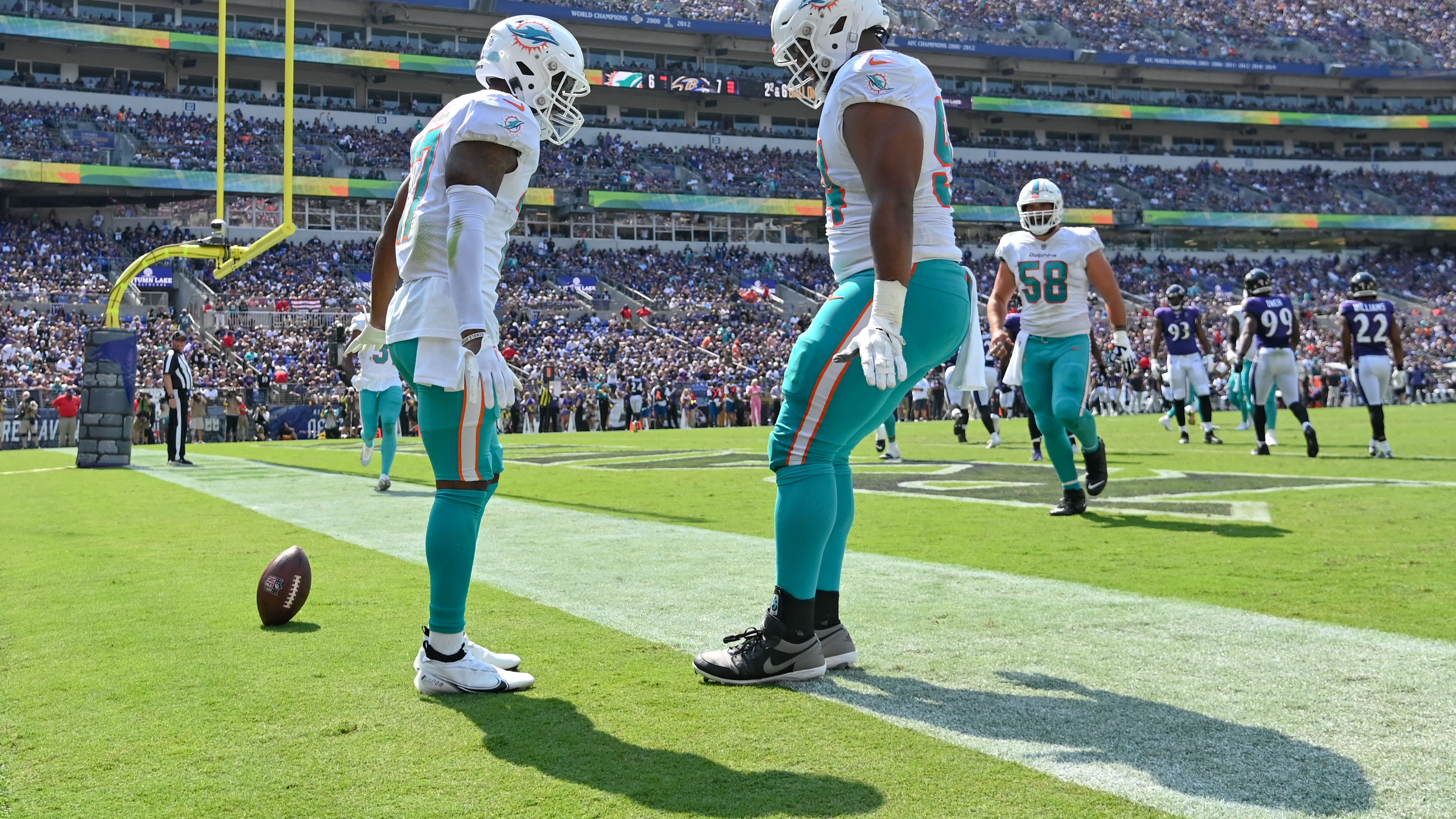 Polinsky: Different and Better Dolphins