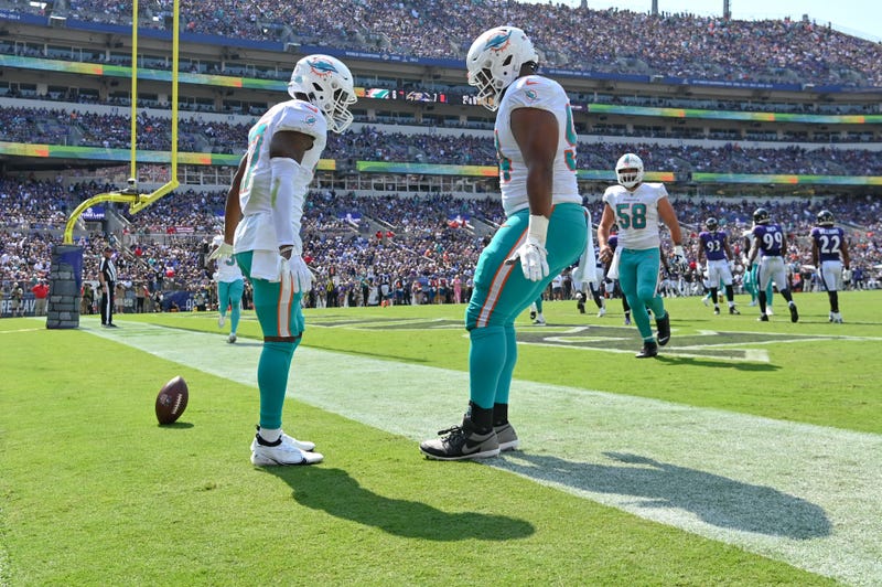 Dolphins Style