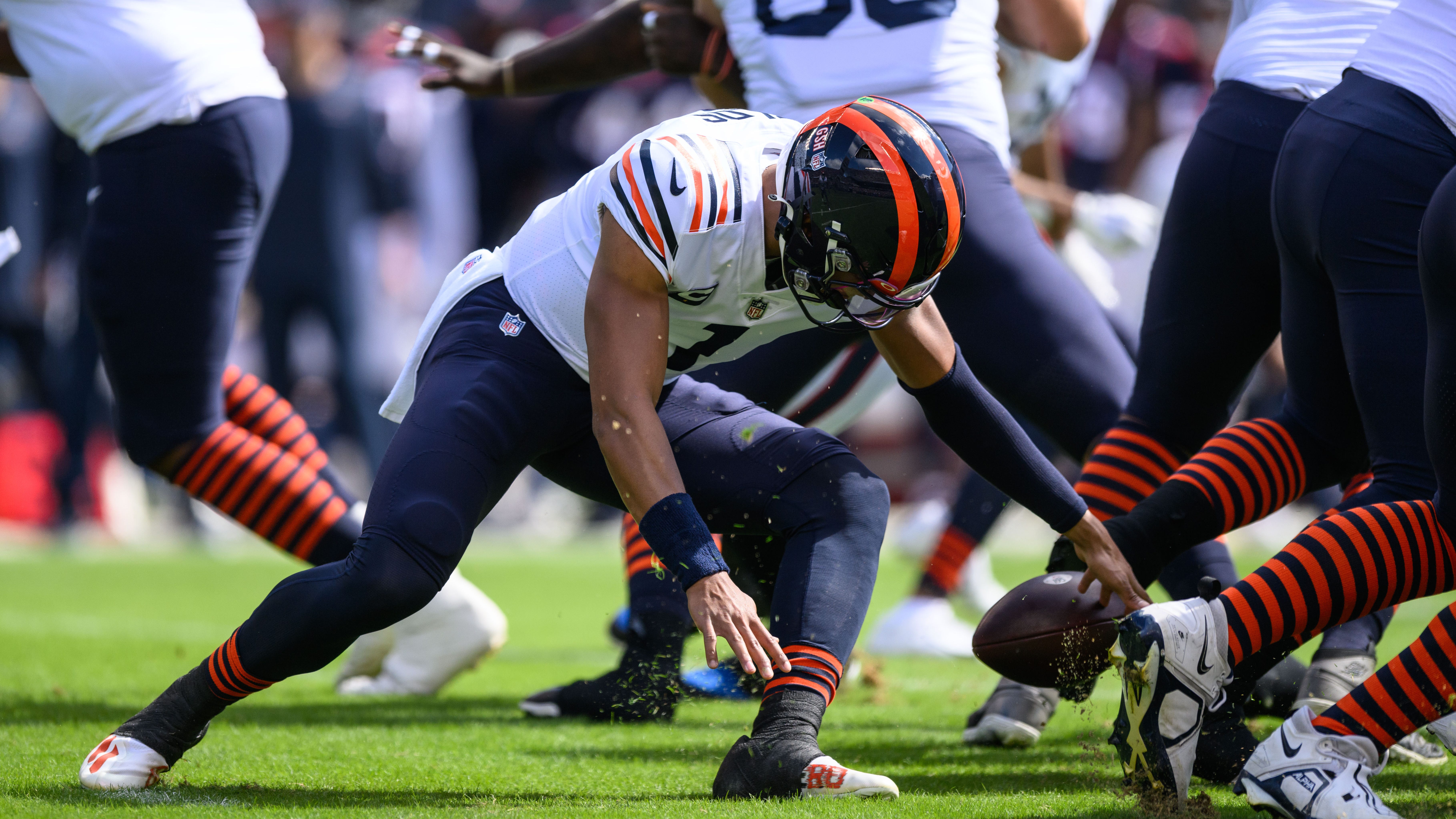 Ellis: Bears crises are in the eye of the beholder