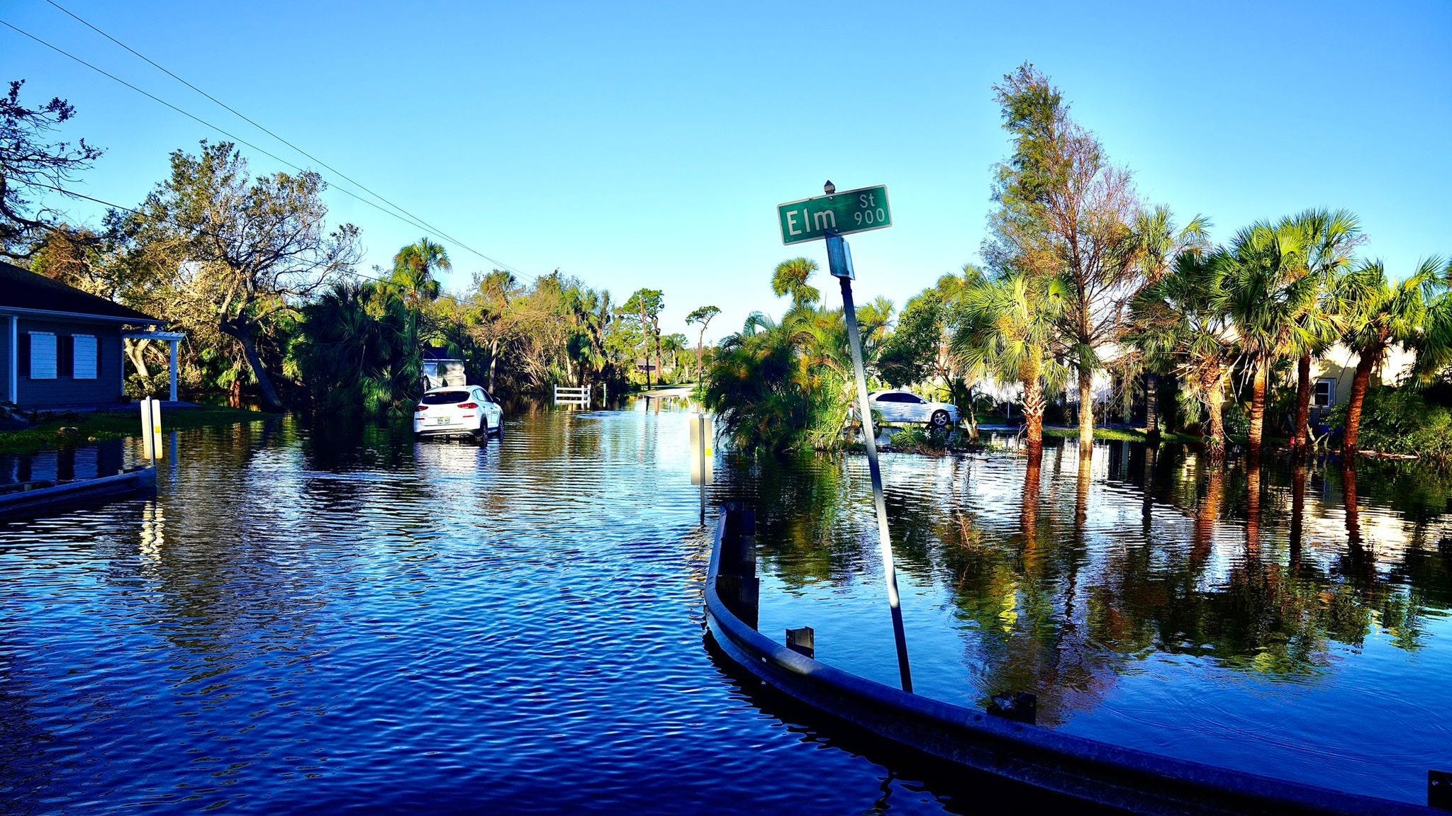 Florida has literal Sharknado when Ian sends shark swimming down street