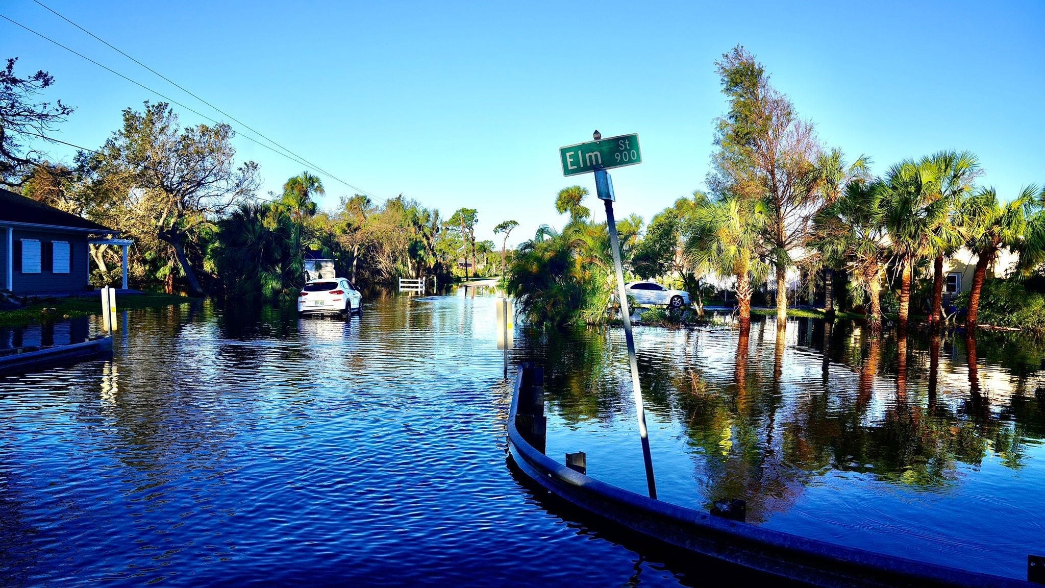 The video is real: Shark swims in flooded Ft. Myers street during Hurricane Ian