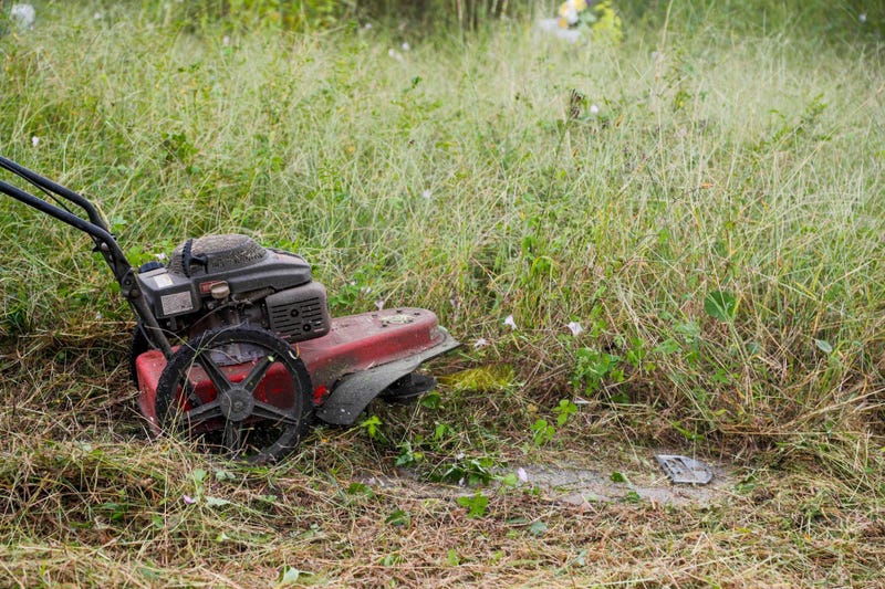 Cle Hts Resident Seeks Help Because Of No Mow May
