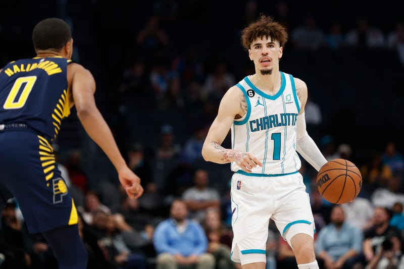 Hornets
