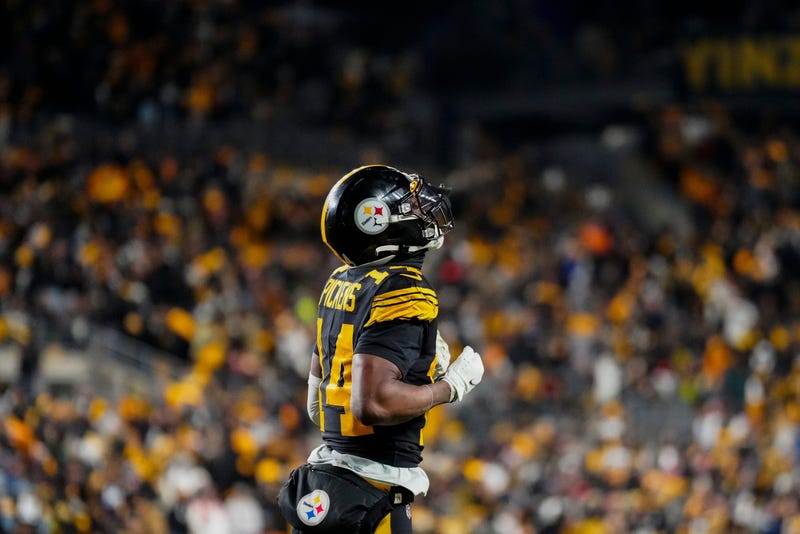 Pittsburgh Steelers wide receiver George Pickens (14) celebrates after scoring a touchdown