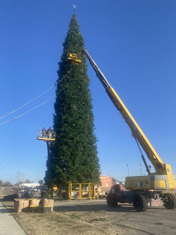 Crew members in boom lifts decorate the 140-foot-tall "world s tallest fresh-cut Christmas tree" with lights and decorations in downtown Enid.